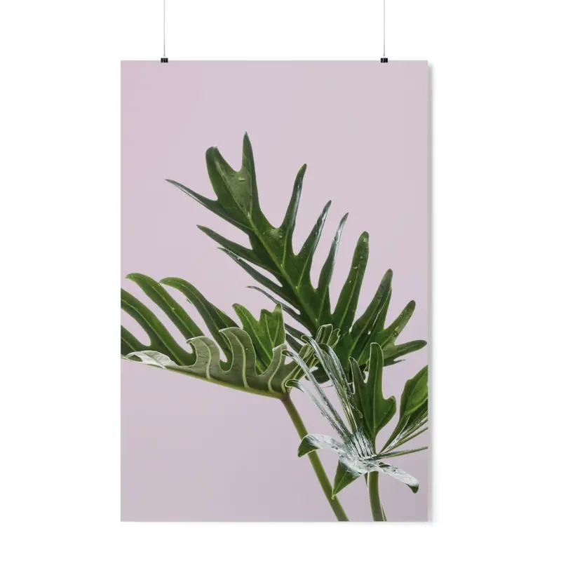 Botanical Pink Philodendron Art Print Poster