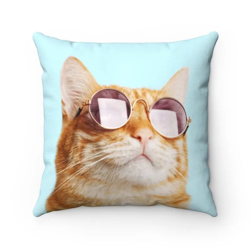 Cat Is Always Right Square Throw Pillow – 4 Size Options