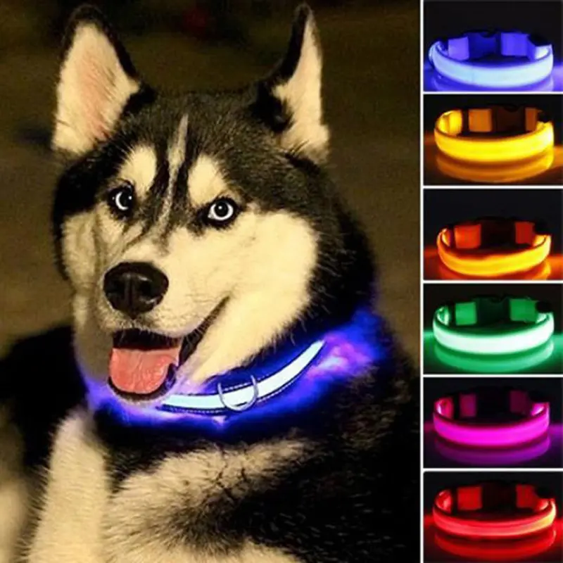 Glow-in-the-Dark Nylon LED Dog Collar (2-Pack)