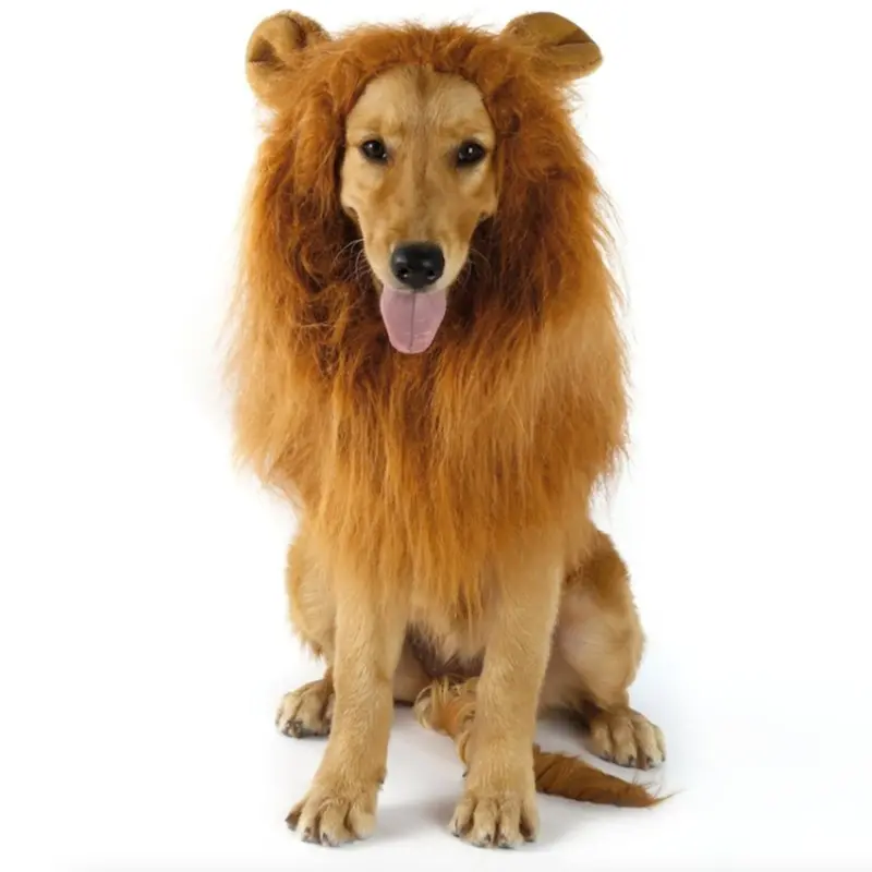 Lion-Inspired Dog Costume Wig – Fun Pet Accessory