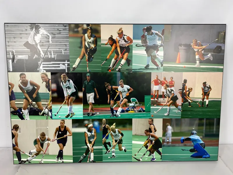 Michigan State Women’s Field Hockey Team Collage — Medium-Sized Framed Plaque