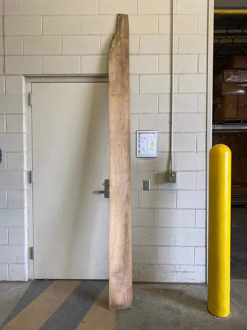 MSU Shadows Flat Slab – Exotic Hardwood #24