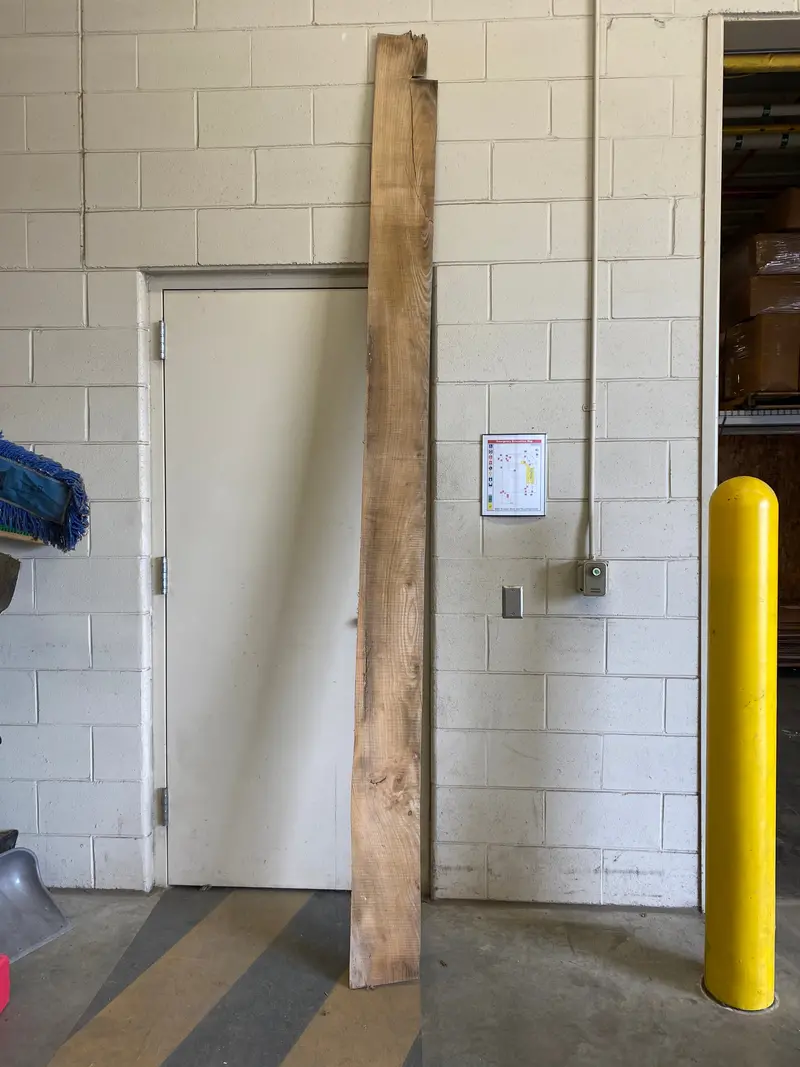 MSU Shadows Flat Slab – Rare Hardwood #25