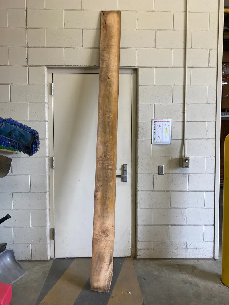 MSU Shadows Flat Slab – Unidentified Hardwood #34