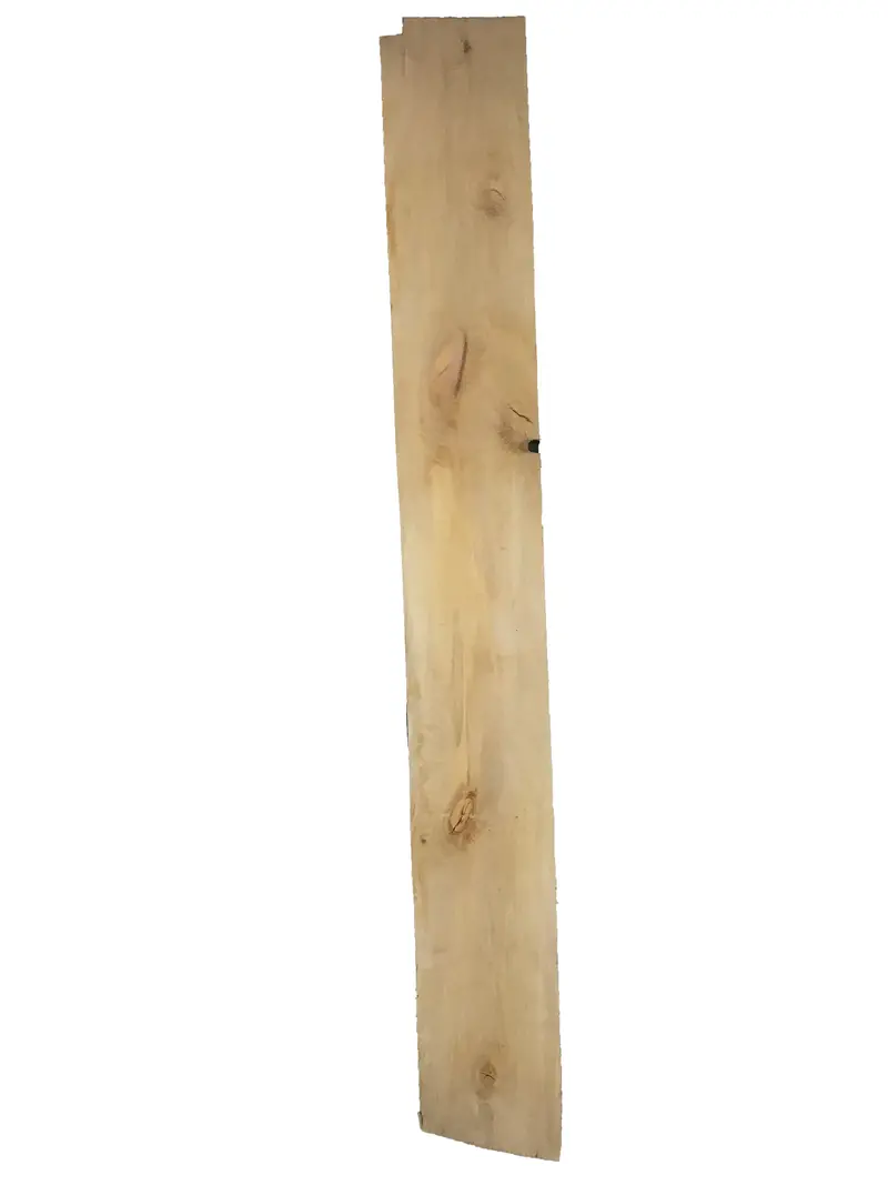 MSU Shadows Sycamore Live Edge Slab – 108″ x 13.25″