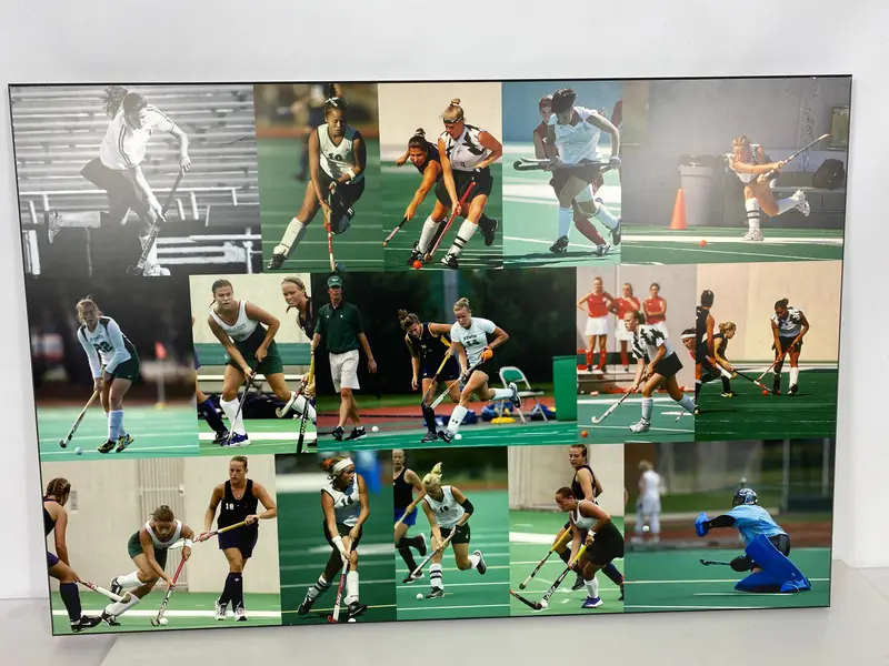 MSU Women’s Field Hockey Action Collage — Medium Display Plaque