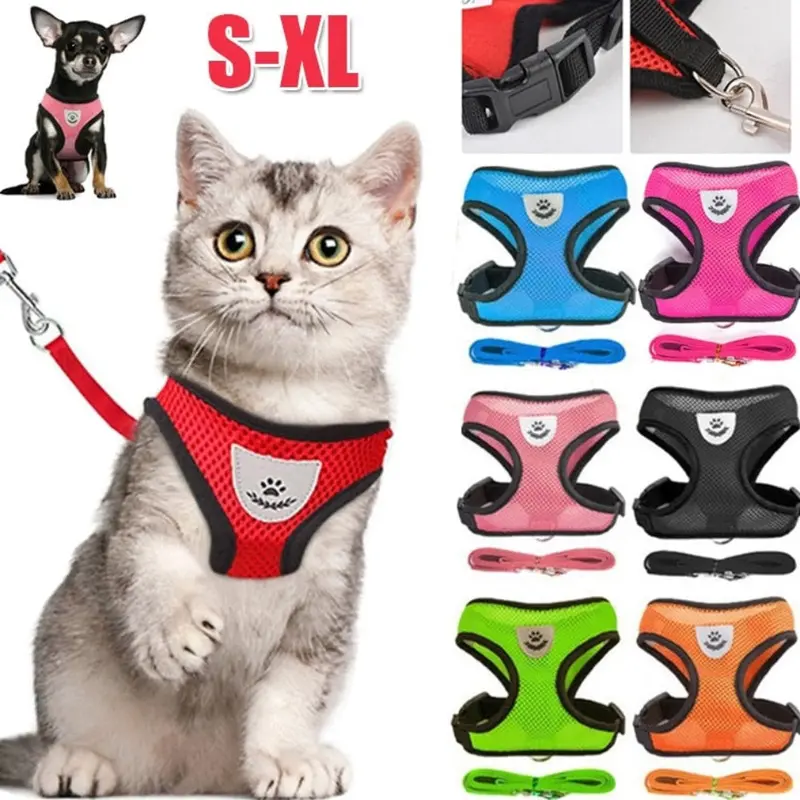 Padded Adjustable Harness and Leash Set for Small to Medium Dogs and Cats