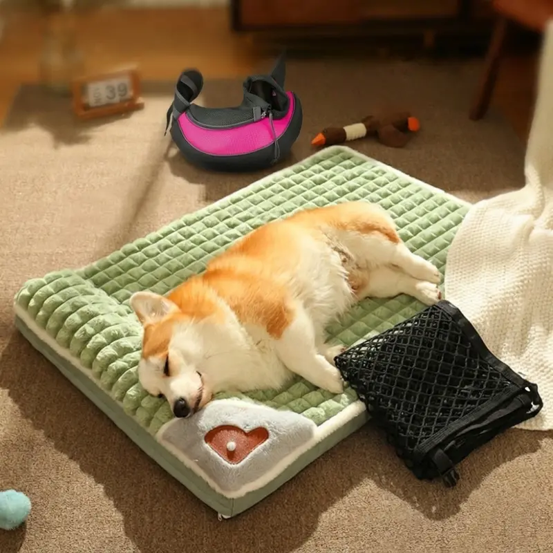 Pawfect Journey Travel Bundle – Bed, Carry Bag & Car Safety Net