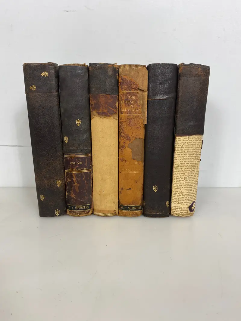 Six-Volume Antiquarian Set: The Literature of All Nations & Ages (1902) — Hardcover
