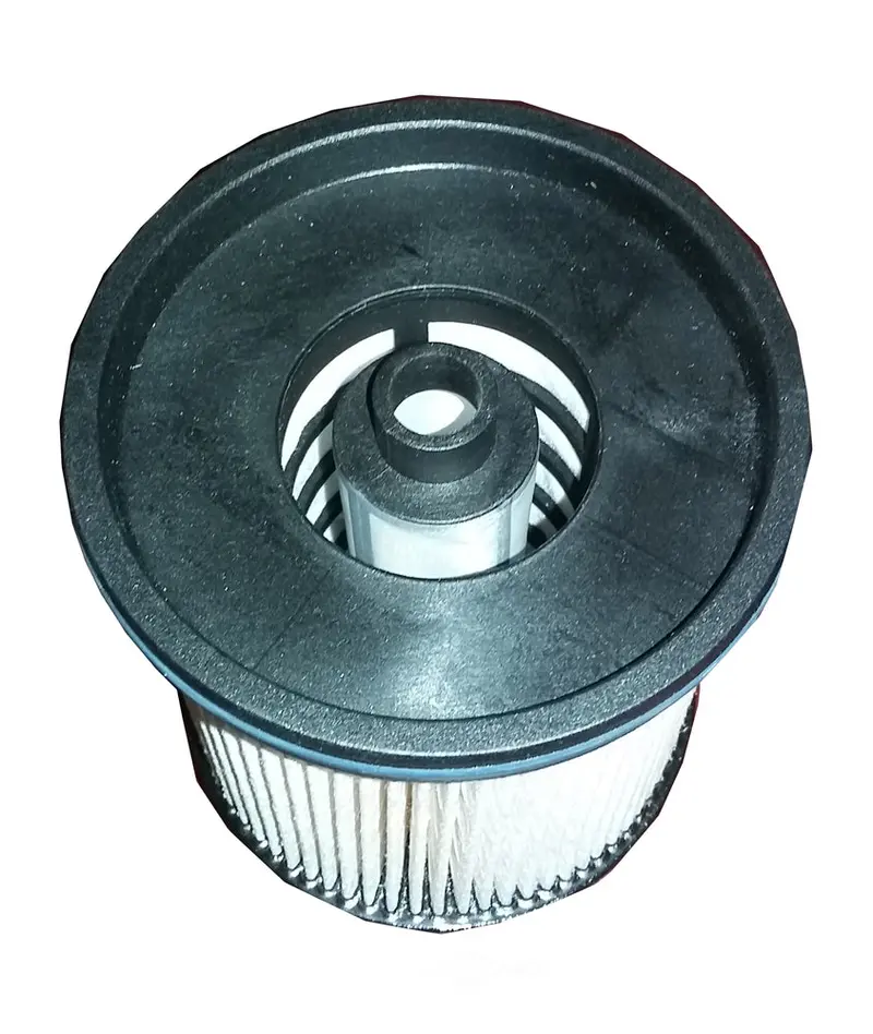 Spectra TP1015 Certified Fuel Filter