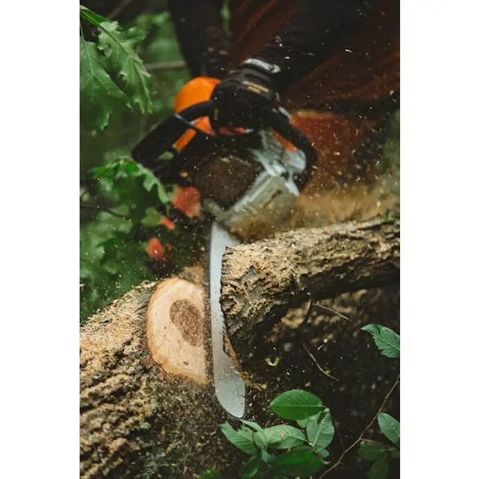 STIHL MS 462 C-M 25-Inch Bar Gas Chainsaw