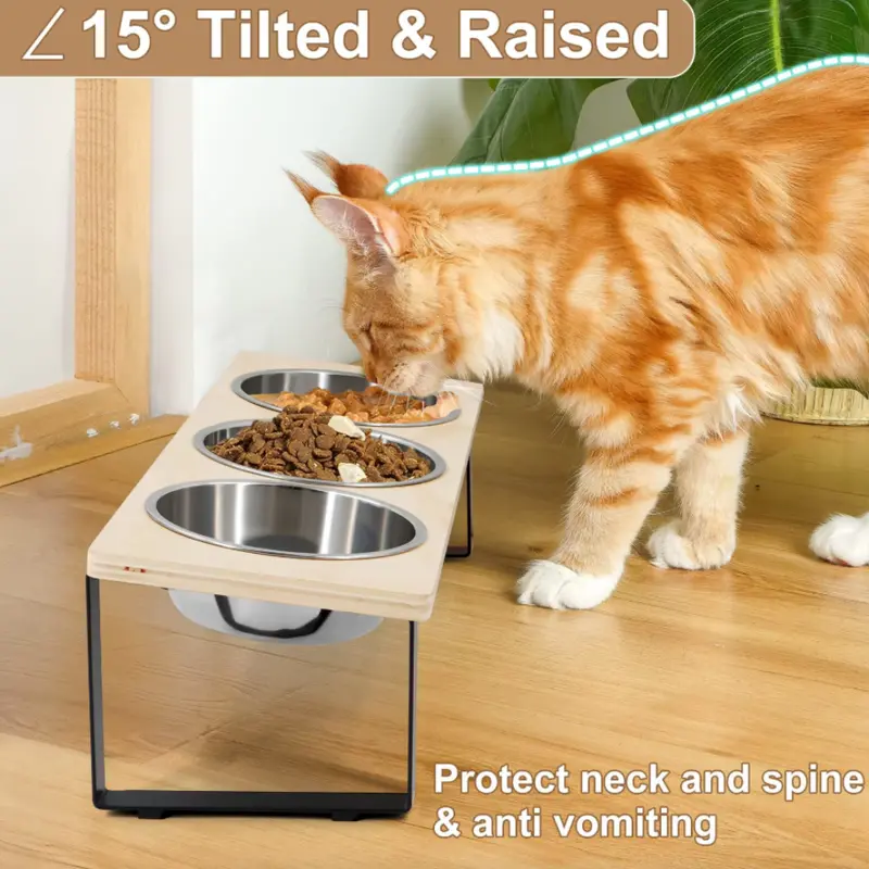 Tilted Elevated Cat Feeder Stand with Triple Stainless Steel Bowls
