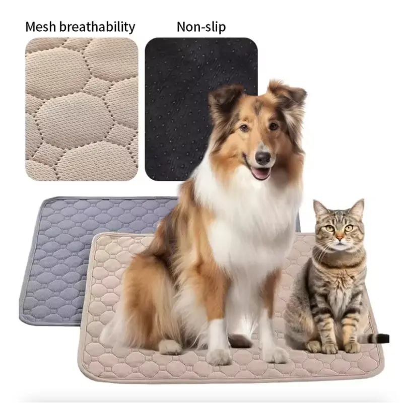 UltraDry Leak-Proof Pet Training Pads – 3-Pack