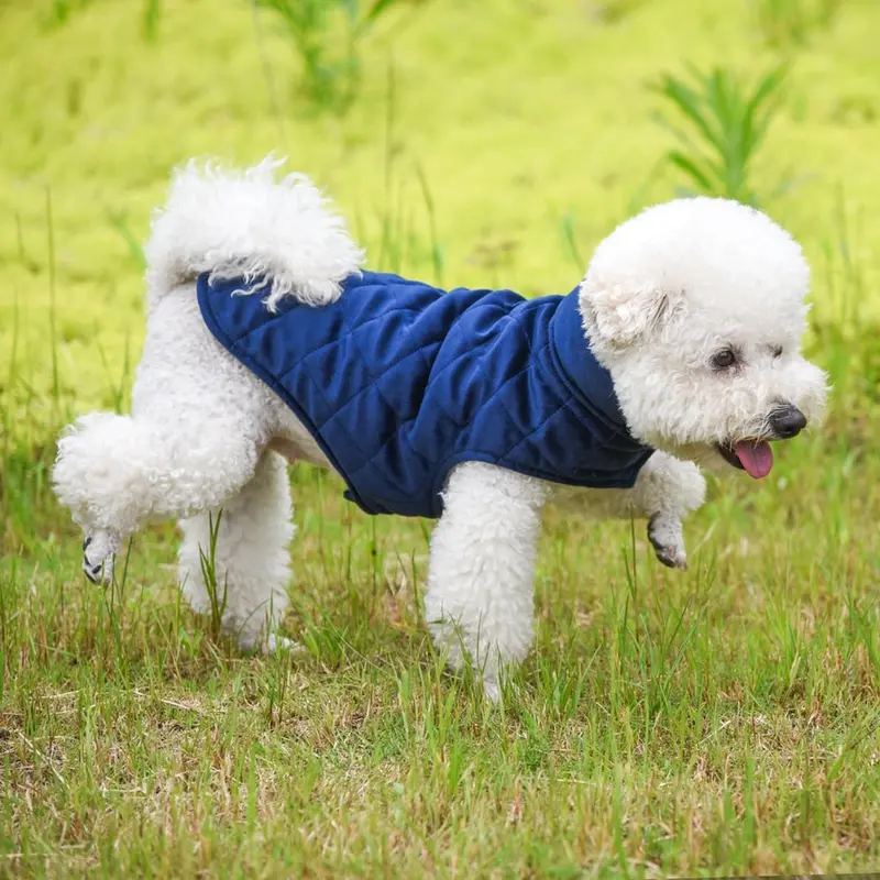 Winter Warmth Dog Vest for Cold Weather Protection